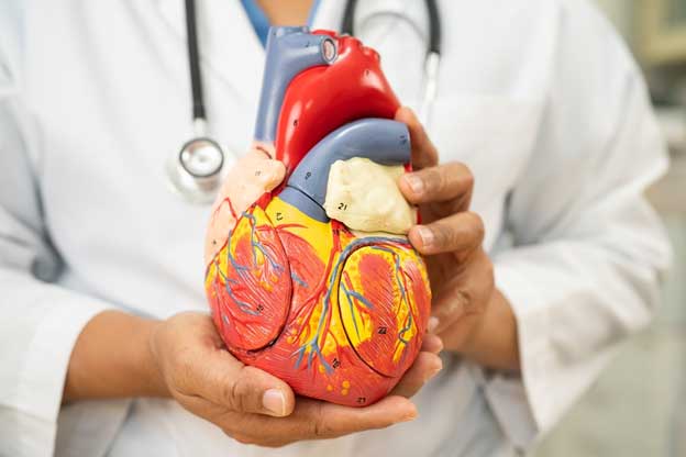 Mens-Health-Cardiovascular-Disease